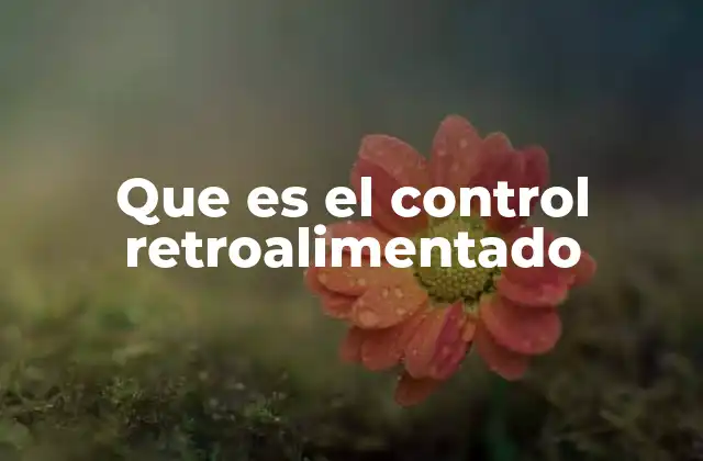 Que es el Control Retroalimentado