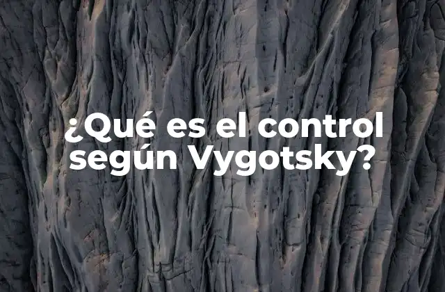 ¿qué es el Control según Vygotsky?