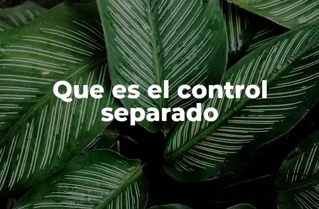 Que es el Control Separado 2 Cómo se aplica el control separado en la práctica