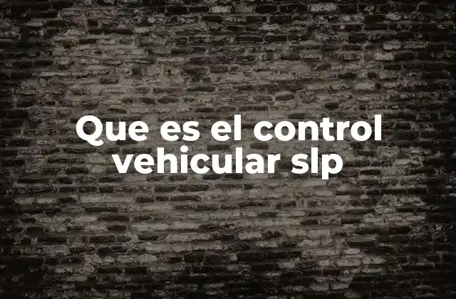 Que es el Control Vehicular Slp