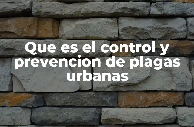Estrategias para mantener entornos urbanos libres de plagas