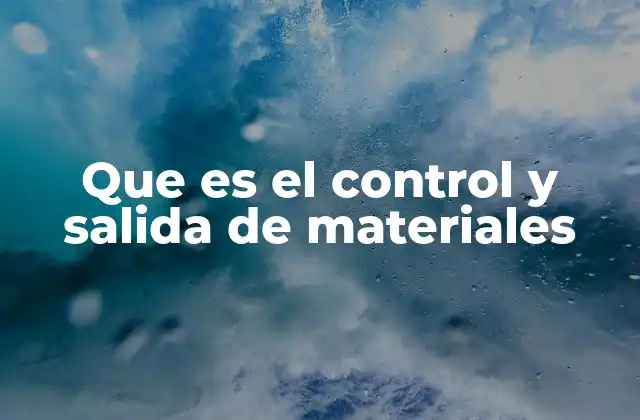 Que es el Control y Salida de Materiales