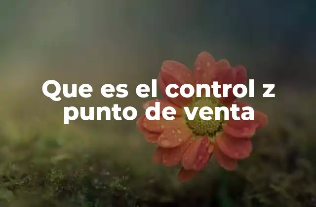 Que es el Control Z Punto de Venta
