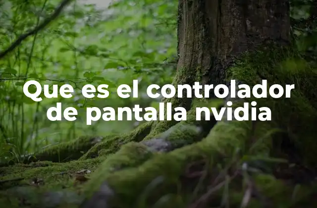 Que es el Controlador de Pantalla Nvidia