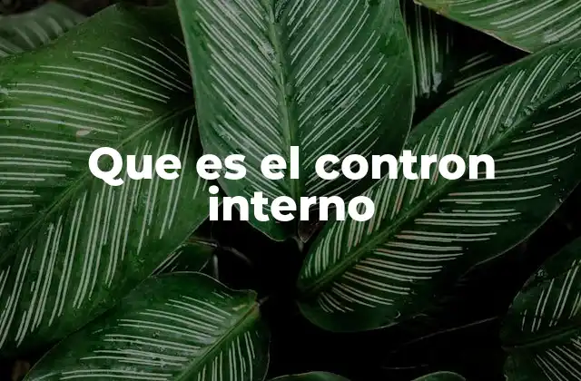 Que es el Contron Interno