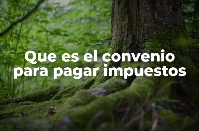 Que es el Convenio para Pagar Impuestos