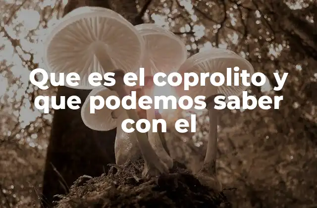 Que es el Coprolito y que Podemos Saber con el