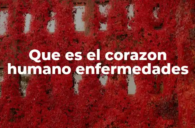 Que es el Corazon Humano Enfermedades