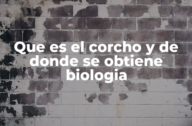Que es el Corcho y de Donde Se Obtiene Biologia