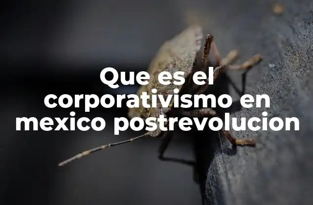 Que es el Corporativismo en Mexico Postrevolucion 2 La estructura del modelo corporativo en la política mexicana