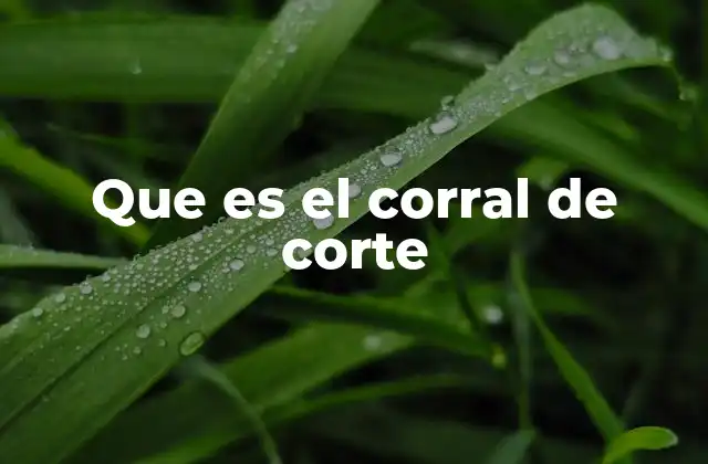 Que es el Corral de Corte