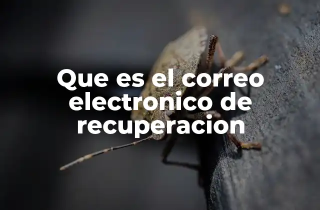 Que es el Correo Electronico de Recuperacion