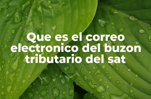 Que es el Correo Electronico Del Buzon Tributario Del Sat