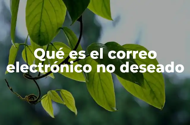 Qué es el Correo Electrónico No Deseado