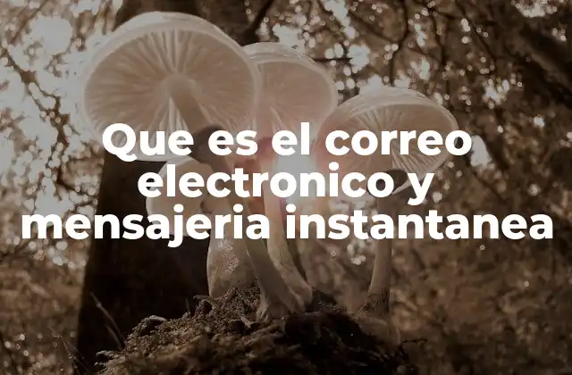 Diferencias entre comunicación digital y comunicación tradicional