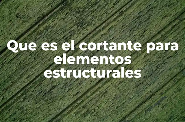 Que es el Cortante para Elementos Estructurales