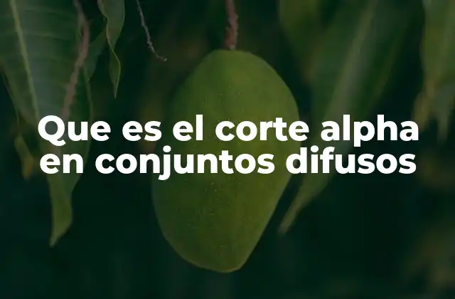 Que es el Corte Alpha en Conjuntos Difusos