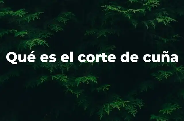 Qué es el Corte de Cuña