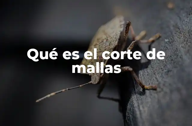 Qué es el Corte de Mallas 2 Aplicaciones prácticas del corte de mallas