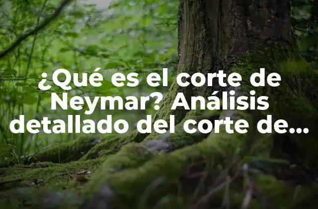 ¿qué es el Corte de Neymar? Análisis Detallado Del Corte de Pelo de Neymar Jr.
