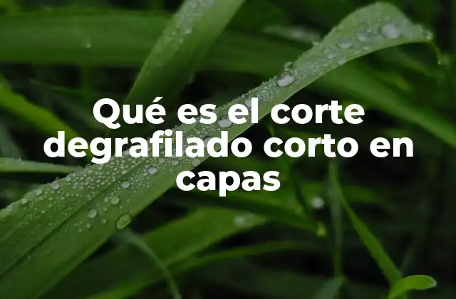 El arte de la transición en los cortes degradados