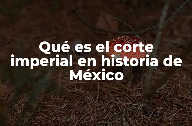 La influencia de Francia en la instalación del corte imperial