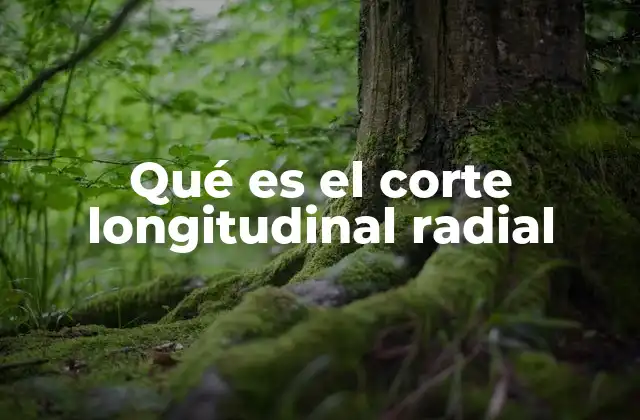 Qué es el Corte Longitudinal Radial