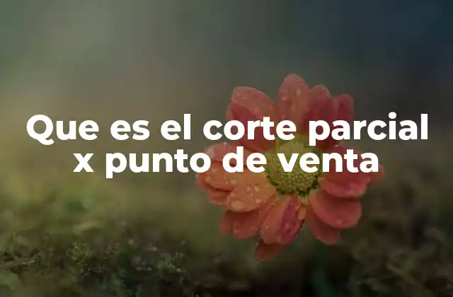 El rol del corte parcial en la gestión de cajas