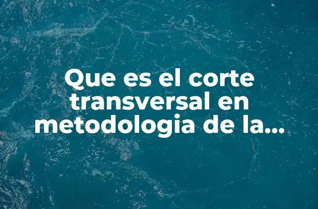 Que es el Corte Transversal en Metodologia de la Investigacion