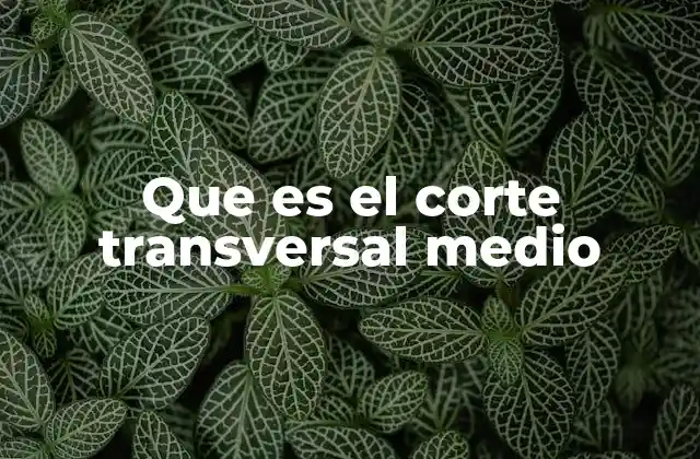 Que es el Corte Transversal Medio