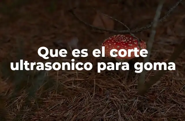 Que es el Corte Ultrasonico para Goma