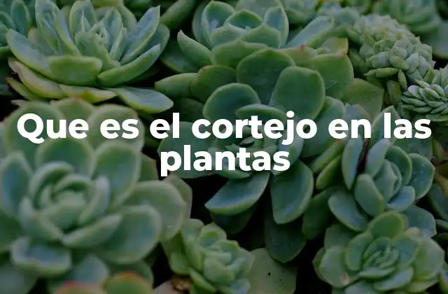 Que es el Cortejo en las Plantas