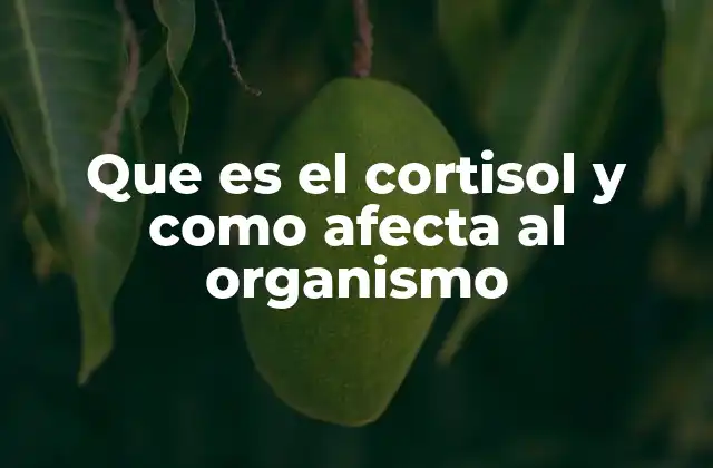 Que es el Cortisol y como Afecta Al Organismo