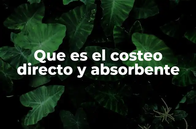 Que es el Costeo Directo y Absorbente