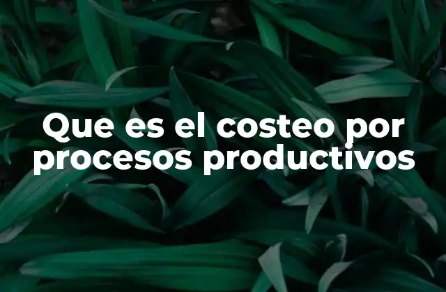 Que es el Costeo por Procesos Productivos