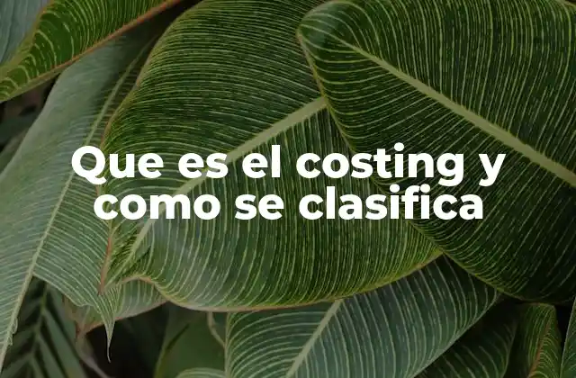 Que es el Costing y como Se Clasifica 2 El papel del costing en la gestión empresarial