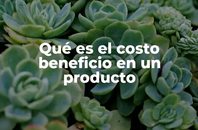 Qué es el Costo Beneficio en un Producto