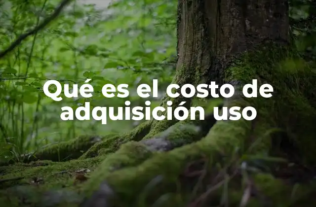 Qué es el Costo de Adquisición Uso