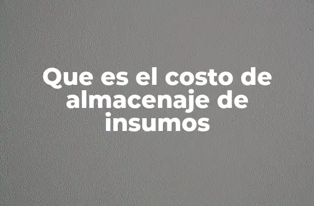 Que es el Costo de Almacenaje de Insumos