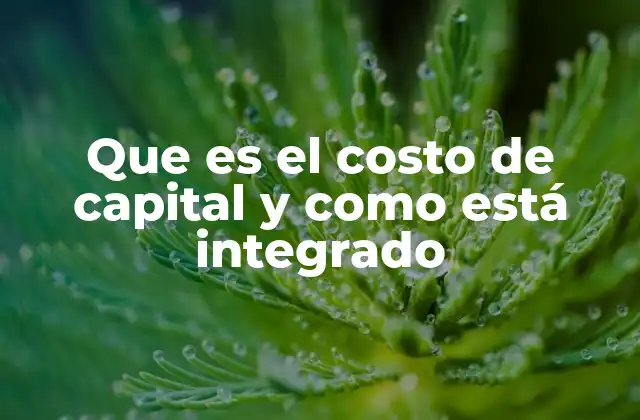 Que es el Costo de Capital y como Está Integrado 2 Componentes que forman el costo de capital