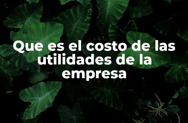 Que es el Costo de las Utilidades de la Empresa