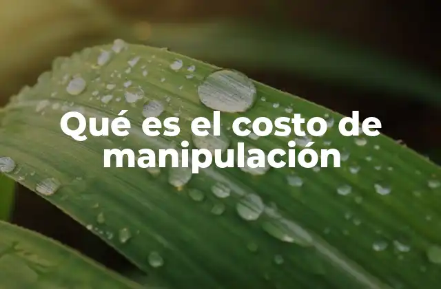 Qué es el Costo de Manipulación