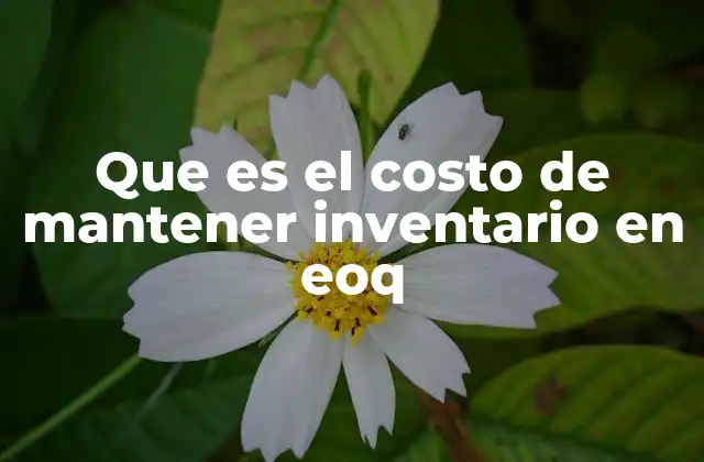 Que es el Costo de Mantener Inventario en Eoq 2 La importancia del costo de mantener inventario en la gestión empresarial