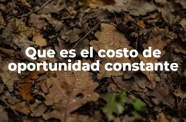 Que es el Costo de Oportunidad Constante