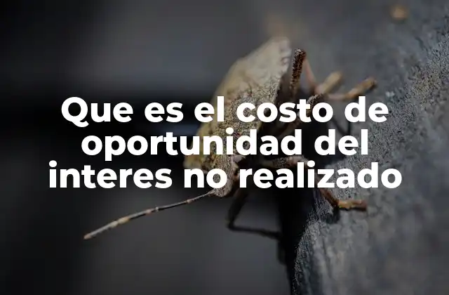 Que es el Costo de Oportunidad Del Interes No Realizado