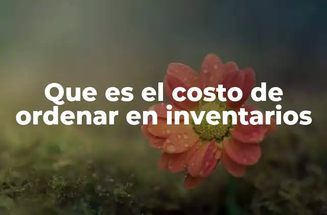 Que es el Costo de Ordenar en Inventarios