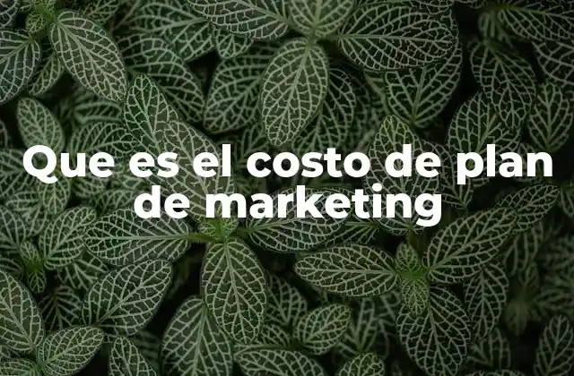 Que es el Costo de Plan de Marketing