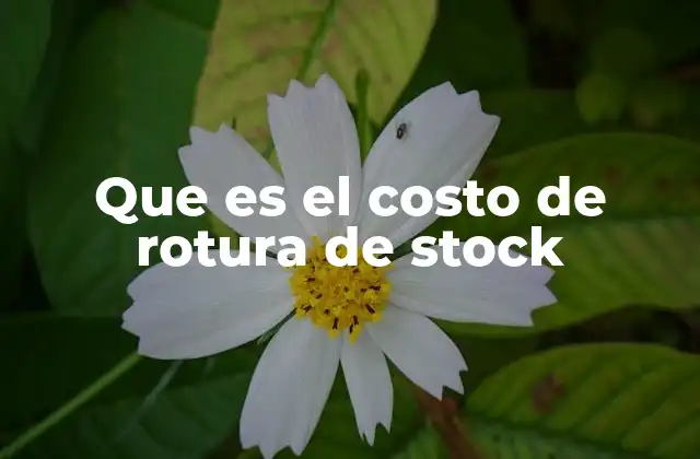 Que es el Costo de Rotura de Stock