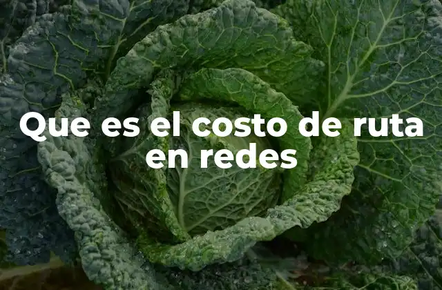 Que es el Costo de Ruta en Redes