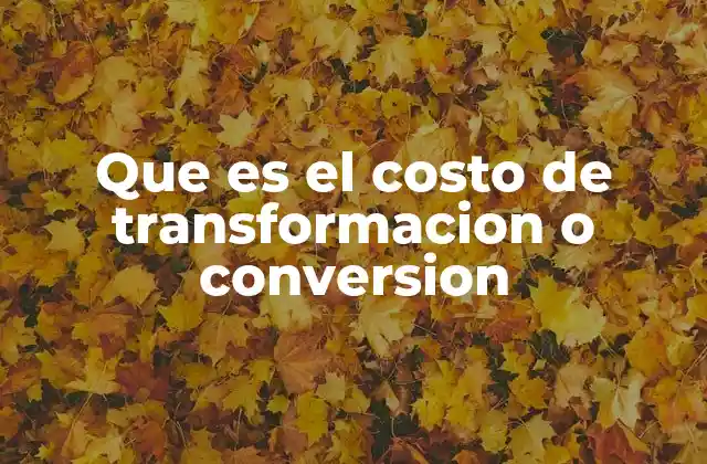 Que es el Costo de Transformacion o Conversion